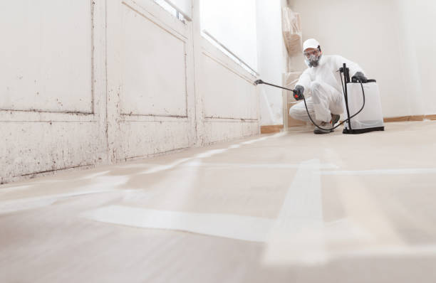 24/7 Emergency Basement Mold Remediation experts in Darien, GA